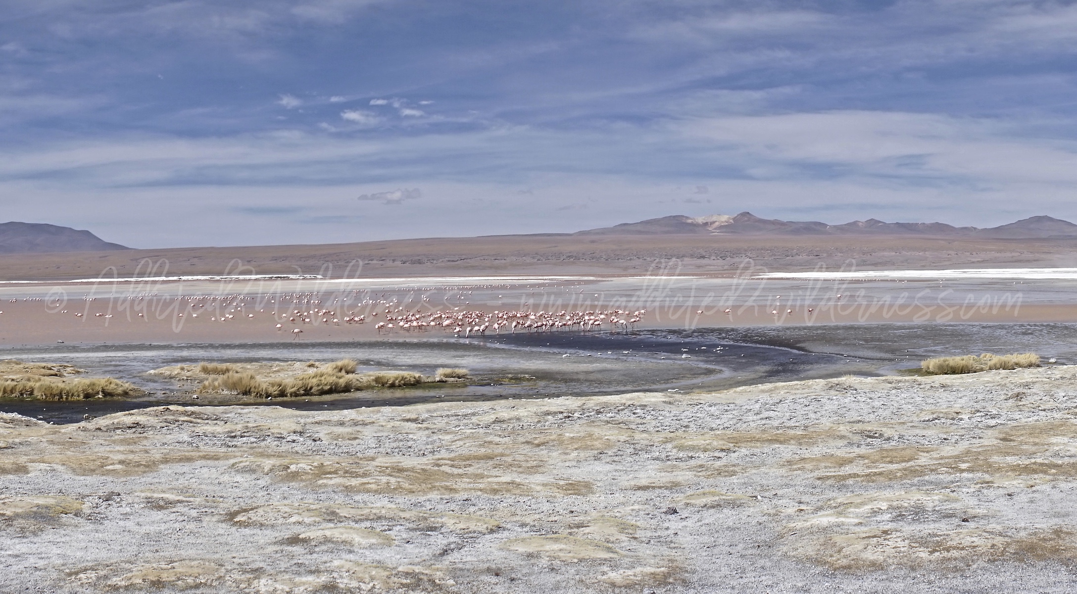 Reserva Nacional de Fauna Andina Eduardo Avaroa