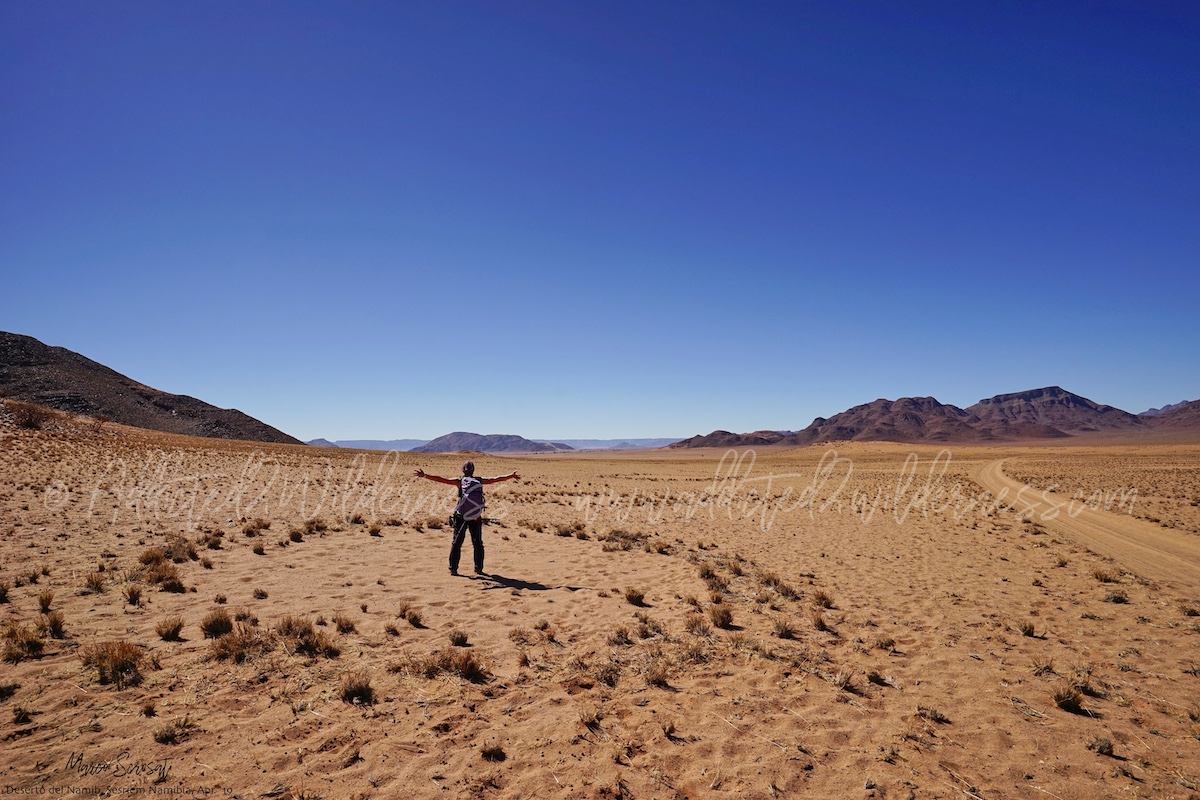 Namibia's fairy circles
