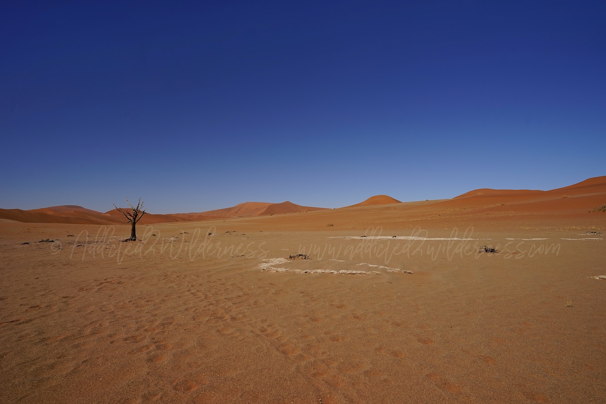 along the way to Hiddenvlei