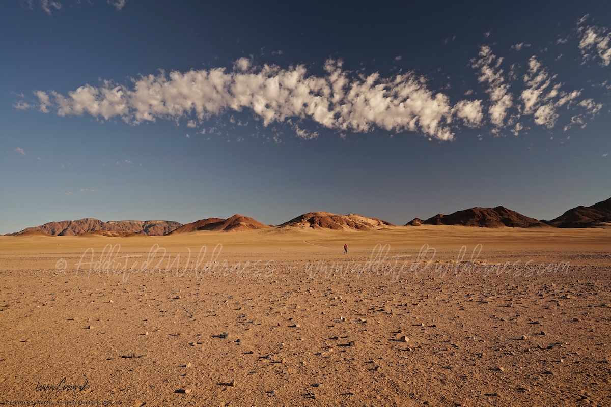 Marco hiking Namib-Naukluft