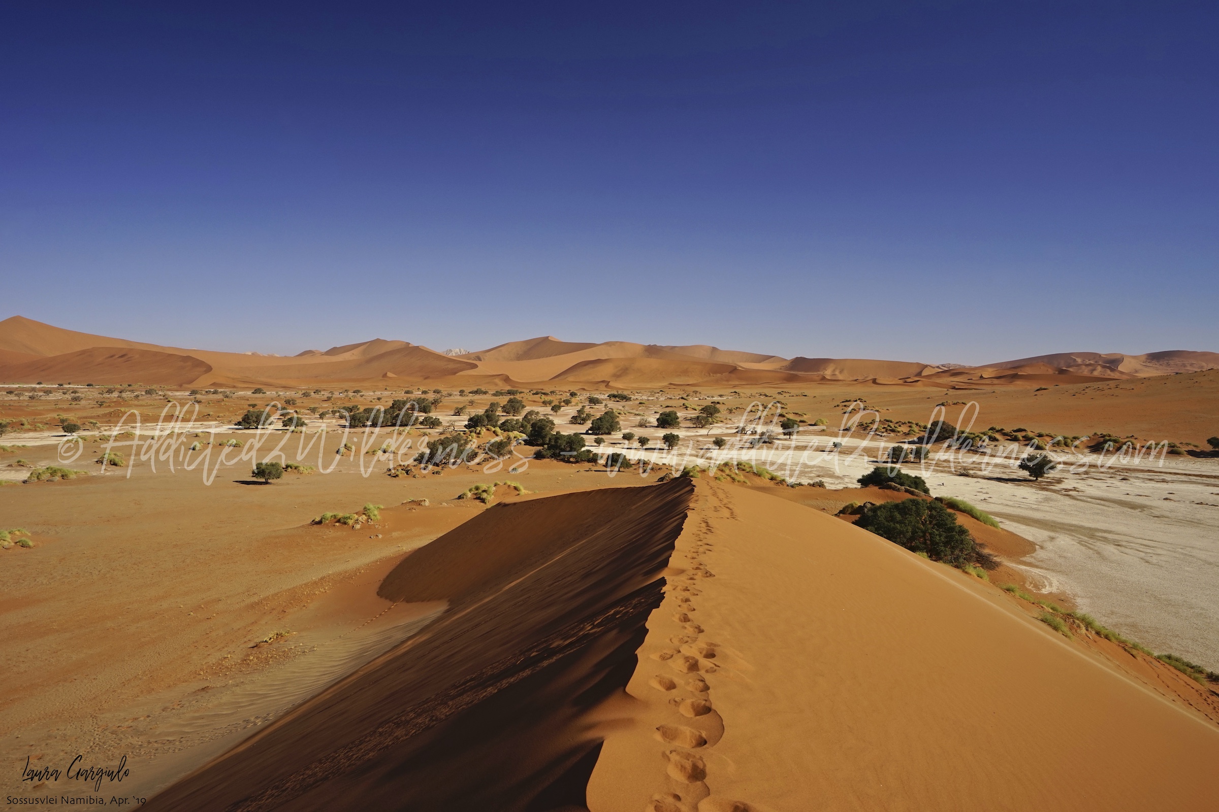 panorama ascending Sossusvlei dunes