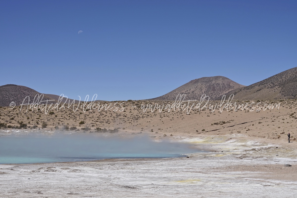 Monumento Nacional Salar de Surire